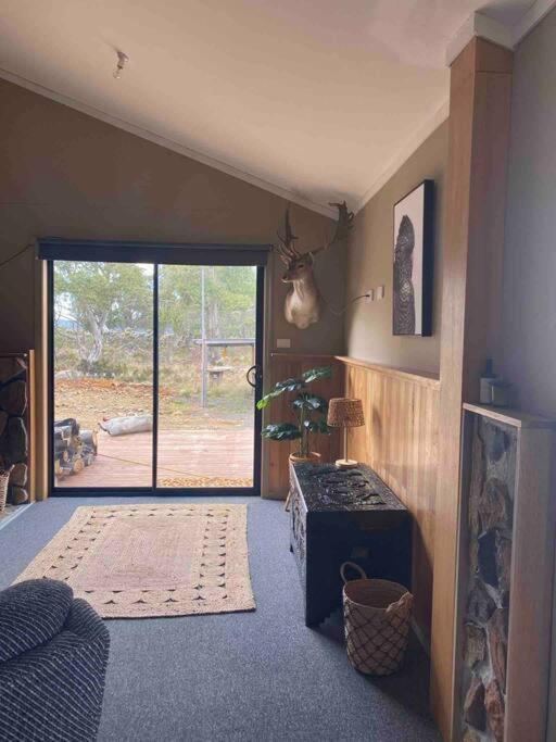 Great Lakes Wilderness Three Bedroom Home Miena Zewnętrze zdjęcie